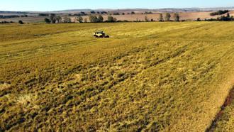 Edirne’de çeltik ekim müracaatları başladı