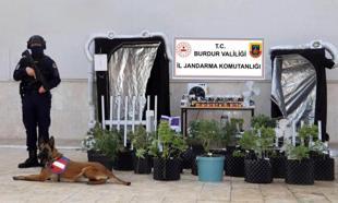 Uyuşturucu operasyonuna 1 tutuklama