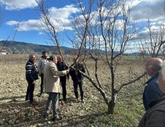 Üreticilere budama eğitimi