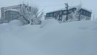 Bitlis'te kar durdu, temizlik çalışması başladı