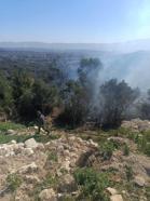 Samandağ’da orman yangını kontrol altına alındı