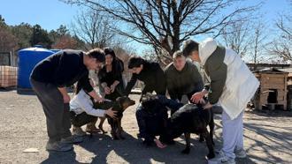 İşitme engelli öğrencilerden, engelli köpekler için kampanya