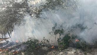 Kadirli'de orman yangını söndürüldü