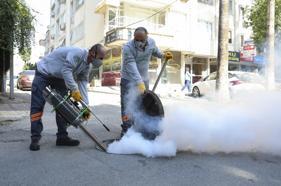 Mersin'de  haşere mücadelesi sürüyor