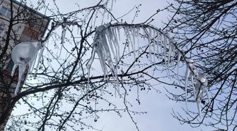 Kars'ta ağaçlar buz tuttu