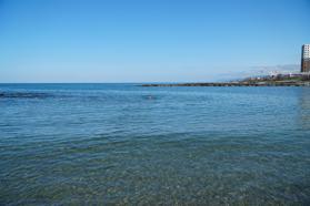 Karadeniz'de 4 mevsim kulaç atıyor