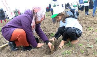 Bursa’da 18 bin fidan toprakla buluştu