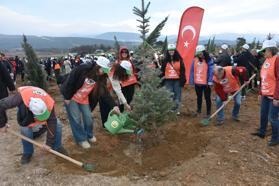 İzmir'de yanan alanda 15 bin fidan toprakla buluşturuldu
