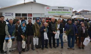 Korkuteli'de fidan dağıtımı