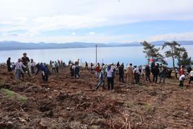 Muğla'da 350 fidan toprakla buluşturuldu