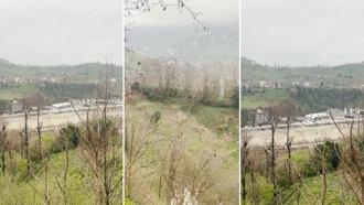 Rize'de gökyüzünde süzülen şahin sürüsü kamerada