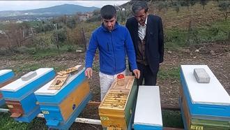 Osmaniye’de arıcılara, verimi artıracak ıslah edilmiş ana arılar dağıtılacak