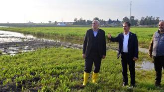 TZOB Genel Başkanı Bayraktar: Adana'da 36 bin 566 dönüm tarım alanı su altında kaldı