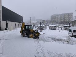Van'da mart ayının sonunda kar yağışı (2)