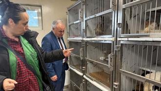 Ankara'da kötü şartlarda tutulan 102 hayvana el konuldu