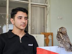 14 yaşındaki Berk, yaralı bulduğu İshak kuşunun yaşama tutunmasını sağladı