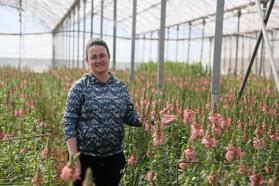 Antalya'dan Avrupa'ya yeni çiçek: Aslanağzı