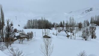 Yüksekova'da evler kara gömüldü