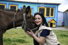 Kuşadası'nda saplandığı çamurdan kurtarılan eşek, koruma altına alındı