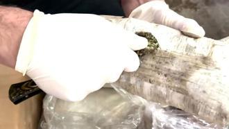 71 ilde uyuşturucu operasyonları: 373 tutuklama