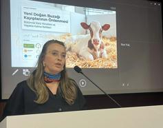 Dr. Canikli: Sağlıklı buzağı istiyorsak, anneyi doğru beslememiz lazım