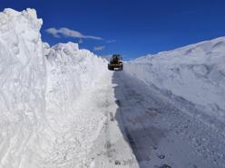 Van'da nisanda karla mücadele