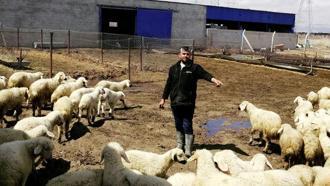 80 bin lira maaşla çalıştıracak çoban bulamıyorlar