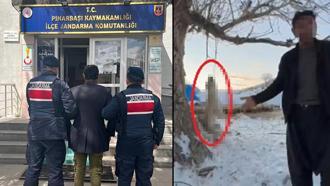 Çok yediğini iddia ettiği köpeğini ağaca asıp öldüren şüpheli tutuklandı