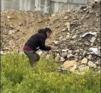 Göç yolundaki leylek tüfekle vuruldu