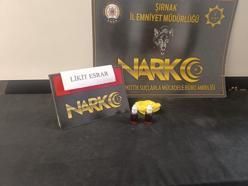 Şırnak’ta kargo paketinde ele geçirilen uyuşturucuya 1 gözaltı