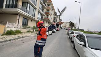 Avcılar'da havalandırma boşluğuna düşen güvercin ve martıyı itfaiye kurtardı