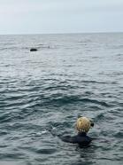 MSB: İğneada açıklarında tespit edilen mayın imha edildi