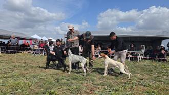 Kozan’da Avcı, Köpeği ve Irk Standartları Yarışması