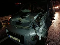 Mardin’de hafif ticari aracın çarptığı inek öldü, sürücü yaralandı