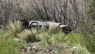 Yola çıkan kedi, kazaya neden oldu