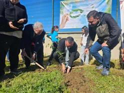 Ayvalık'ta ÇEDES Projesi kapsamında fidanlar toprakla buluşturuldu