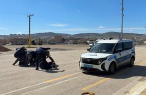 Kavga ihbarına giden polisler, çiçeklerle karşılandı