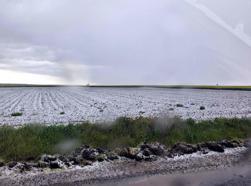 Saray'da dolu etkili oldu