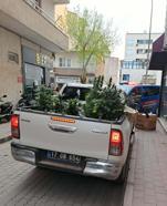 Apartman dairesinde uyuşturucu yetiştiren şüpheli yakalandı