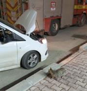 Mardin’de hafif ticari aracın motor bölümünde doğan 4 yavru kedi, kurtarıldı