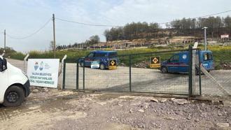 Yalova’da hayvan ölümleri iddialarına soruşturma