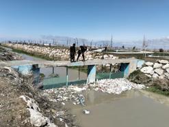 İnci kefalinin göç yolunda 2 ton atık temizlendi