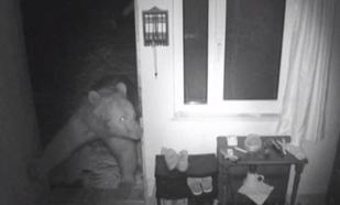 Yayla evlerine girip, mahallelerde dolaşan ayılar kamerada