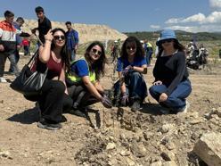 Taşınan her zeytin ağacı için yeni bir fidan: Milas'ta 4 bin fidan toprakla buluştu / Ek fotoğraflar