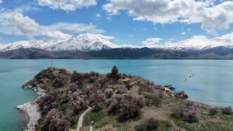 Badem ağaçlarının çiçekleriyle güzelleşen Akdamar Adası'nda turist yoğunluğu