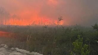 ABD'de orman yangınlarında 120'den fazla ev yandı