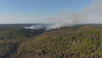 Beykoz'da orman yangını; alevler kontrol altına alındı