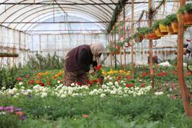 Muğla'da Üretici Kadınlar Meclisi kuruluyor