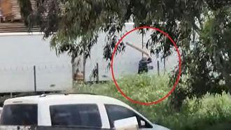 Tavuklarını yediği gerekçesiyle sokak köpeğini sopayla döven kişi gözaltında