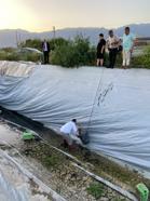 Aydın’da çilek sulama havuzuna düşen 5 yavru köpek kurtarıldı